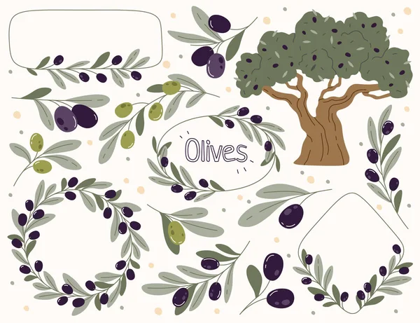 オリーブの枝平イラストをセット 装飾的な葉と花輪で緑と黒のオリーブの果物を熟す 常緑植物設計要素 — ストックベクタ