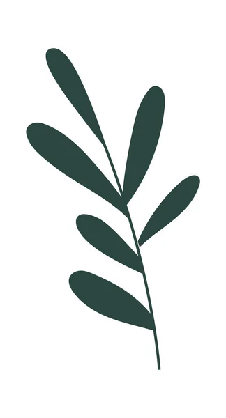 叶向量图解的花科植物 — 图库矢量图片