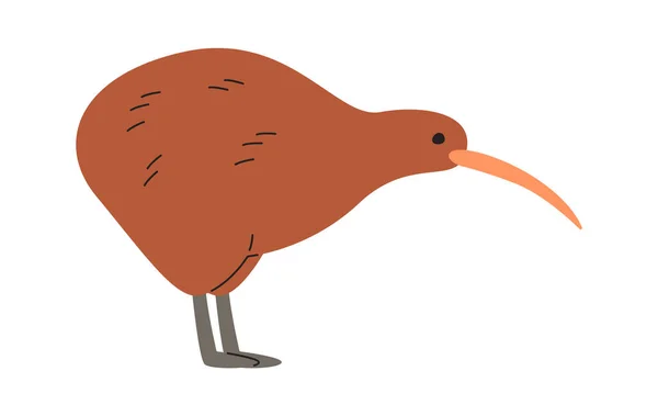 Ficar Kiwi Bird Vector Ilustração — Vetor de Stock