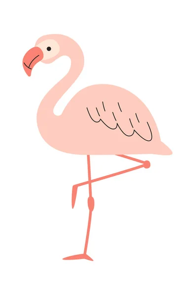 Rimanere Flamingo Uccello Vettoriale Illustrazione — Vettoriale Stock