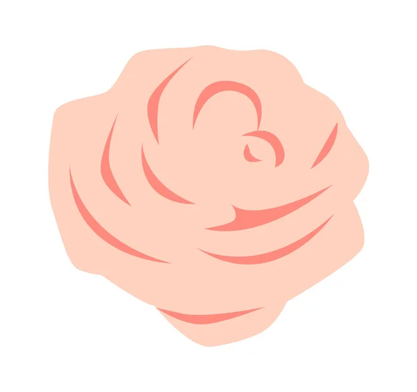 Róża Kwiat Głowa Wektor Ilustracji — Wektor stockowy