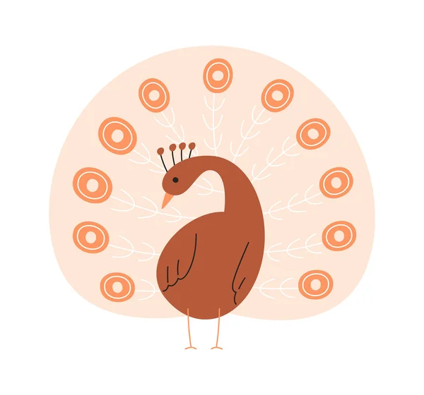 Peacock Bird Ficar Vector Ilustração — Vetor de Stock