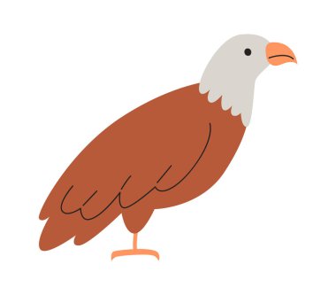 Kartal Yırtıcı Kuş Vektör İllüstrasyonu