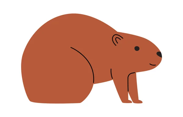 Marmot Rodent Animal Vector Ilustração —  Vetores de Stock