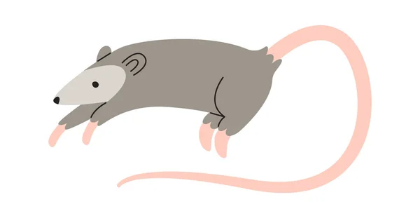 Rato Rodent Animal Vector Ilustração —  Vetores de Stock