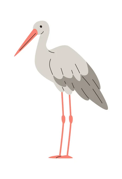 Stork Bird Standing Vector Illustration — Vetor de Stock