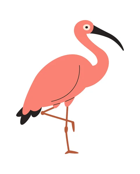 Blijven Flamingo Vogel Vector Illustratie — Stockvector