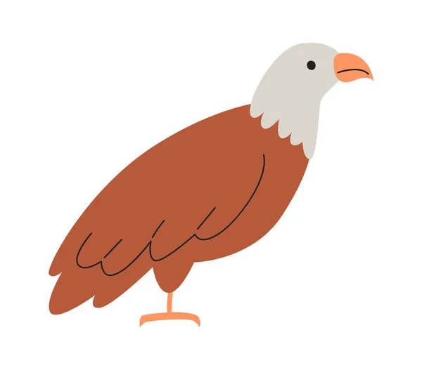 Eagle Predator Bird Vector Illustration — Stock Vector