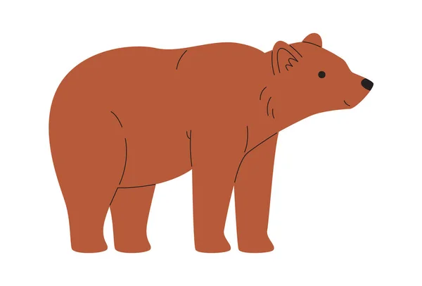 Bear Animal Standing Vector Illustration — Stock Vector