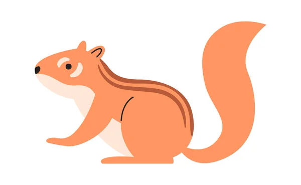 Ilustração Vetor Animal Roedor Esquilo —  Vetores de Stock