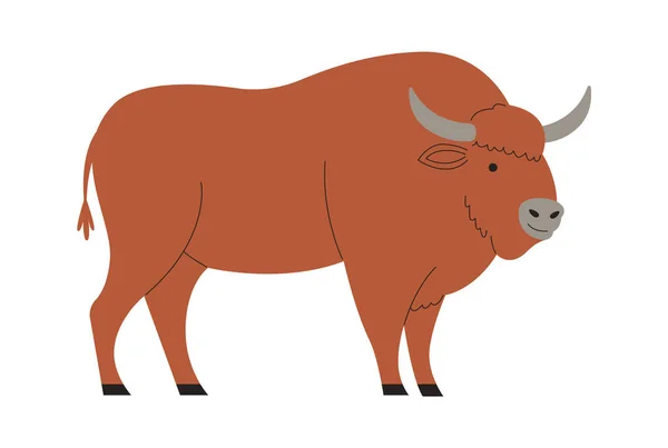 Buffalo Animal Standing Vector Ilustração — Vetor de Stock