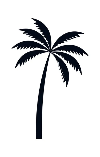 Εικονογράφηση Φορέα Παλάμη Δέντρο Σιλουέτα — Διανυσματικό Αρχείο