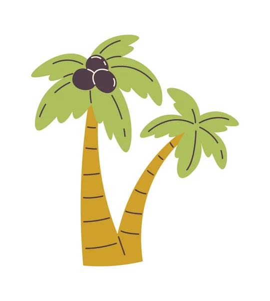 Palmy Kokosów Wektor Ilustracji — Wektor stockowy