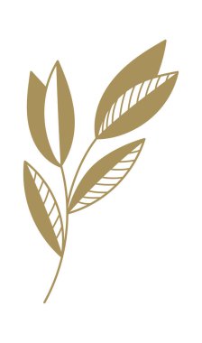 Yaprak Vektörü İllüstrasyonlu Çiçekli Brunch