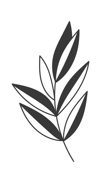 叶向量图解的花科植物 — 图库矢量图片