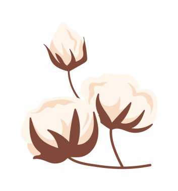 Pamuk Çiçekleri Kök Vektör İllüstrasyonu