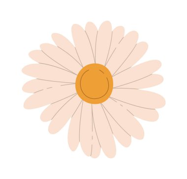 Papatya Çiçeği Baş Vektörü İllüstrasyonu