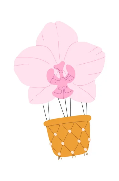 Orchid Flower Balloon Basket Vector Illustration — Stock Vector