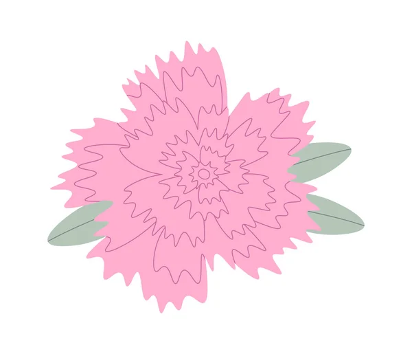 葉を持つカーネーションの花 ベクトルイラスト — ストックベクタ