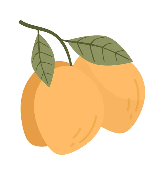 Frutas Limão Ilustração Vetorial Ramo — Vetor de Stock