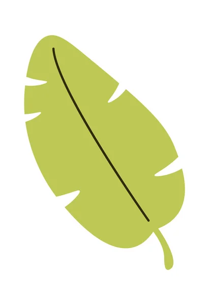 植物の葉のアイコンベクトルイラスト — ストックベクタ
