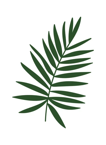 Tropiska Grenen Ikon Vektor Illustration — Stock vektor
