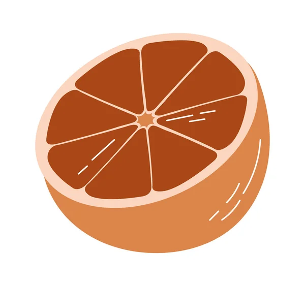 Ilustrasi Setengah Vektor Buah Oranye - Stok Vektor
