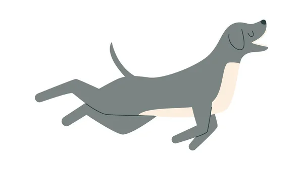 Jumping Dog Animal Vector Illustration — Stock Vector