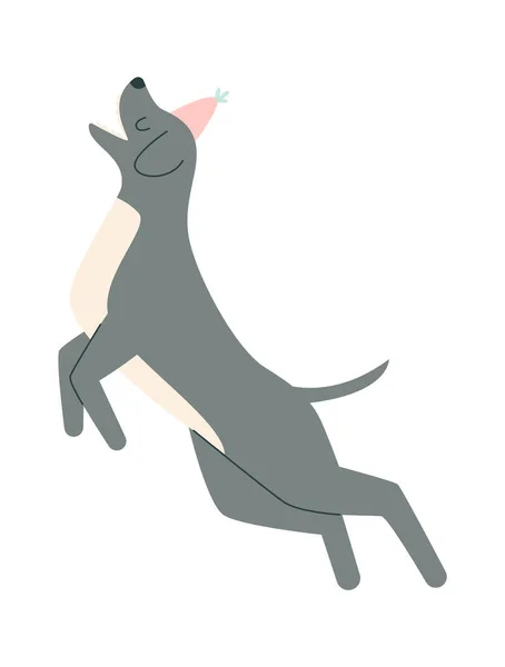 Saltando Cão Com Chapéu Aniversário Vector Ilustração —  Vetores de Stock