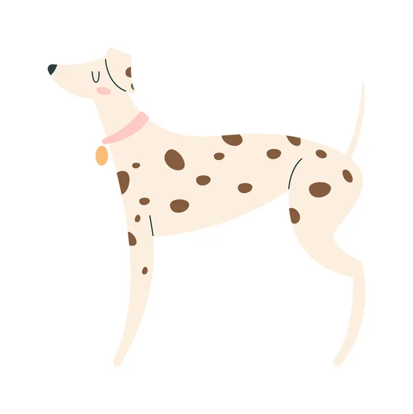 Dalmatian Dog Standing Vector Illustration — Stock Vector