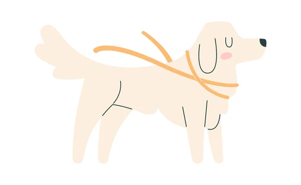 Cão Com Leash Vector Ilustração —  Vetores de Stock