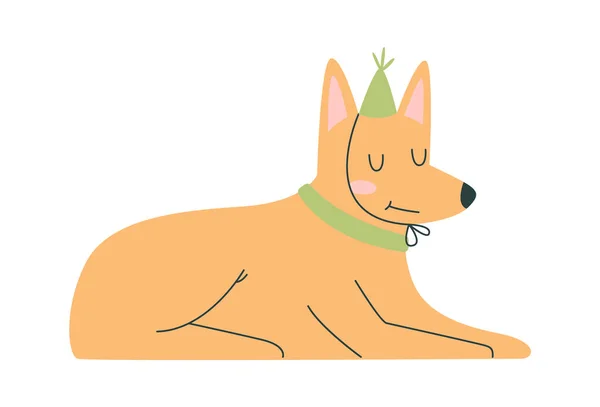 Σκύλος Δώρο Καπέλο Διανυσματική Απεικόνιση — Διανυσματικό Αρχείο