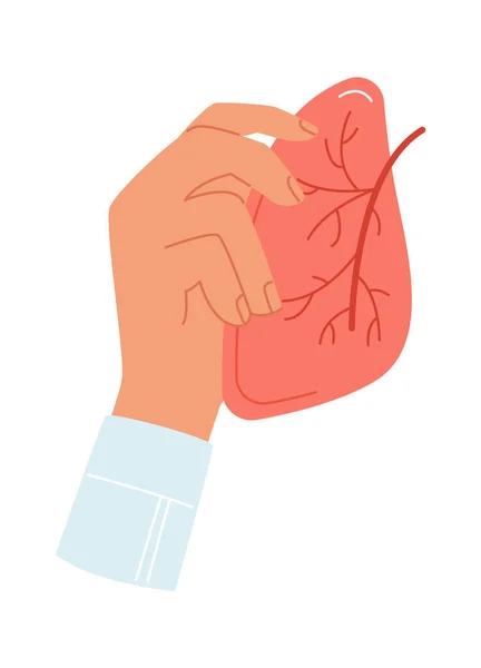 Mão Segurando Pulmão Órgão Vetor Ilustração — Vetor de Stock