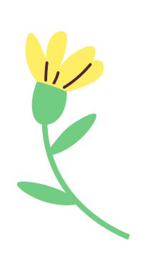 Kök Vektör Resimlerinde Çiçek