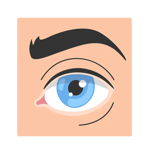 Gesundes Menschliches Auge Vektor Illustration — Stockvektor