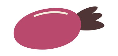 Gül Kalçası Böğürtlen Vektörü İllüstrasyonu