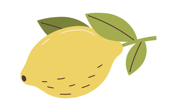 Fruta Limão Ilustração Vetorial Ramo — Vetor de Stock