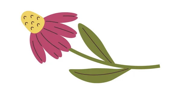 Ромашковый Цветок Векторном Стебле — стоковый вектор