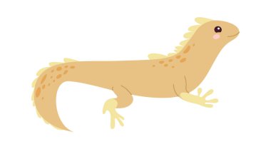 Iguana Sürüngen Hayvan Vektörü İllüstrasyonu
