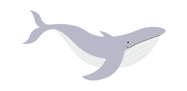 Μπλε Φάλαινα Θηλαστικό Εικονογράφηση Διάνυσμα — Διανυσματικό Αρχείο