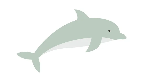 Illustration Vectorielle Des Mammifères Dauphins — Image vectorielle
