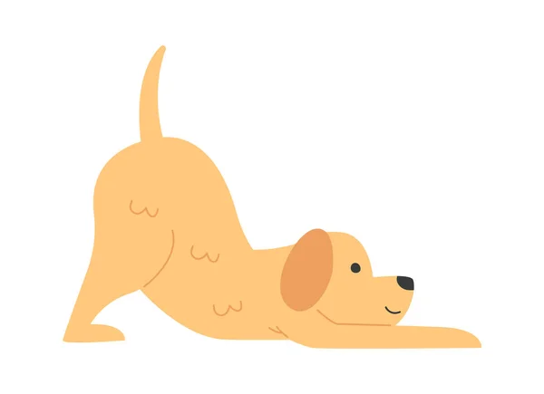 Estiramento Dog Animal Vector Ilustração — Vetor de Stock