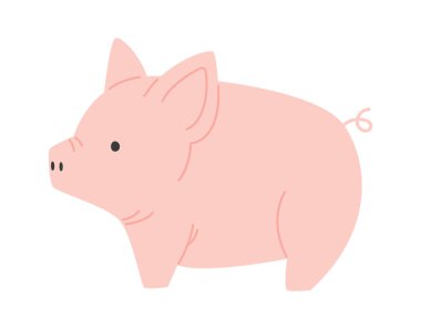 Yaban Domuzu Evcil Hayvan Vektörü İllüstrasyonu