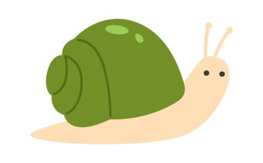 Salyangoz Böceği Hayvan Vektörü İllüstrasyonu