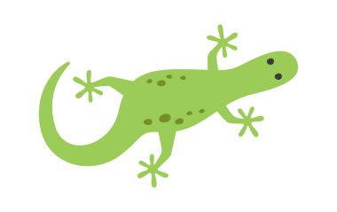 Gecko Kertenkele Hayvan Vektörü İllüstrasyonu