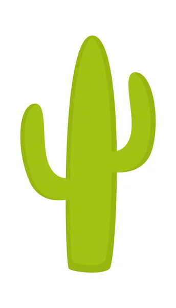 Cactus Desert Tree Vector Illustration — Stock Vector