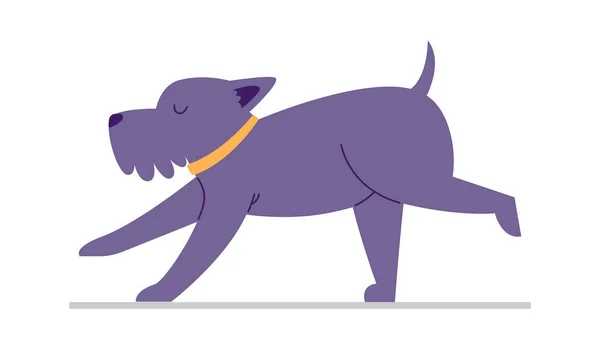Σκύλος Κάνει Γιόγκα Διανυσματική Απεικόνιση — Διανυσματικό Αρχείο