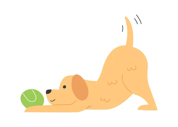 Perro Jugando Con Bola Vector Ilustración — Vector de stock