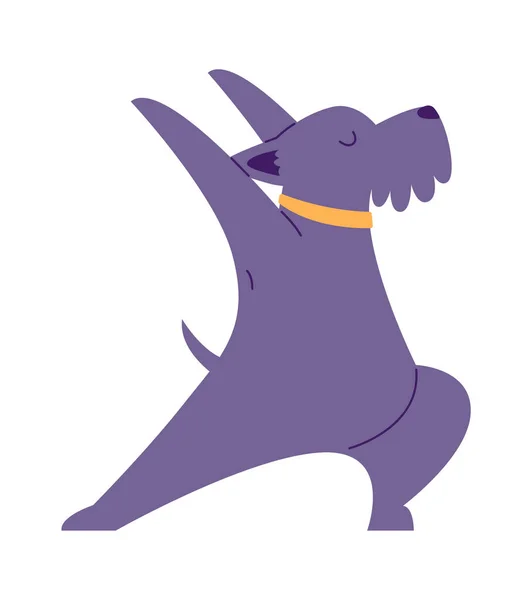 Dog Doing Yoga Vector Illustration — Stock Vector