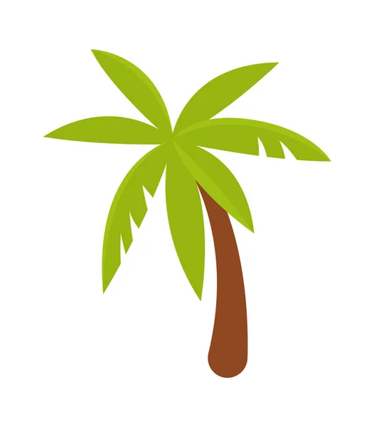 Palmera Árbol Tropical Vector Ilustración — Vector de stock